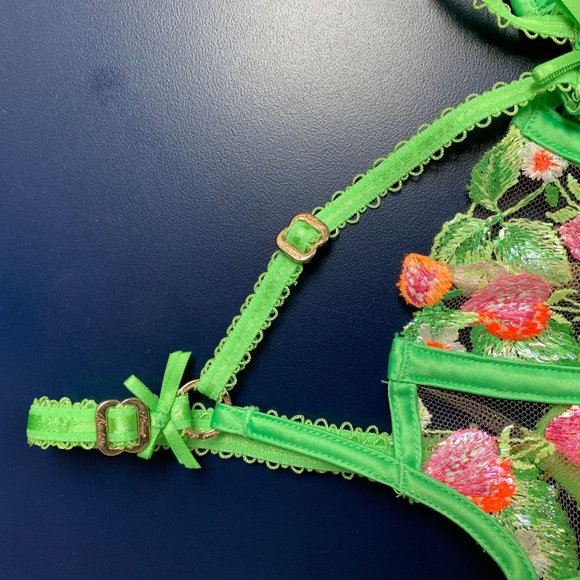 NWT Honey Birdette Lottie Lace Bra - Picture 11 of 14